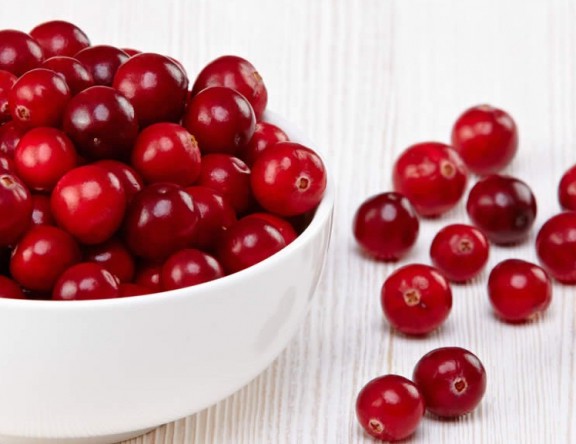 probioticos naturales