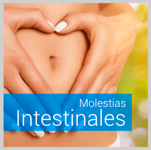 Intolerancia Molestias